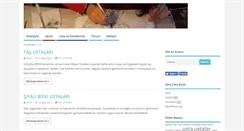 Desktop Screenshot of bizimustalar.net