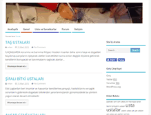 Tablet Screenshot of bizimustalar.net